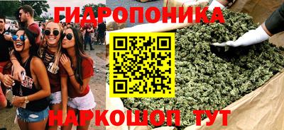 герыч Можга