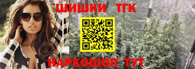 индика Можайск