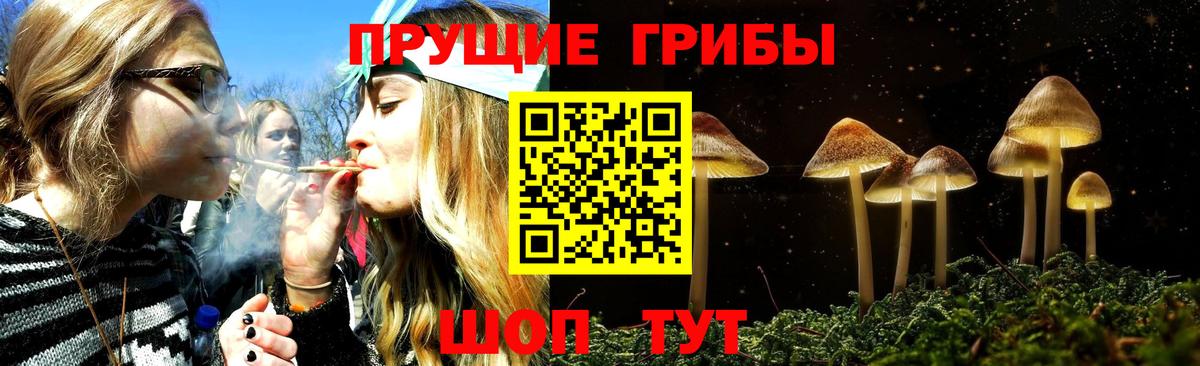 Псилоцибиновые грибы Magic Shrooms Тавда